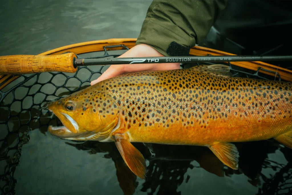 Caña TFO SOLUTION #7 9F 4