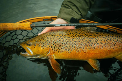 Caña TFO SOLUTION #7 9F 4